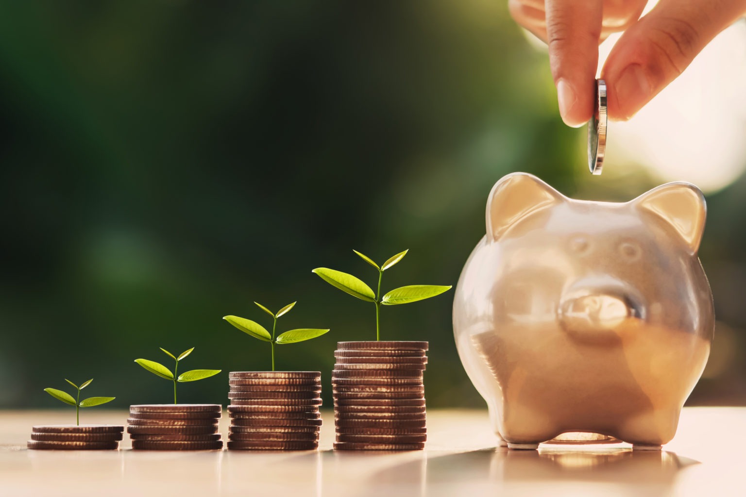  A hand dropping a coin into a piggy bank representing saving money with small plants growing out of the coin stacks to symbolize growth of savings over time with interest to afford a budget-friendly vacation.